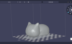 喵咪老师斜二测视图