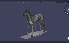 狼狗斜二测视图
