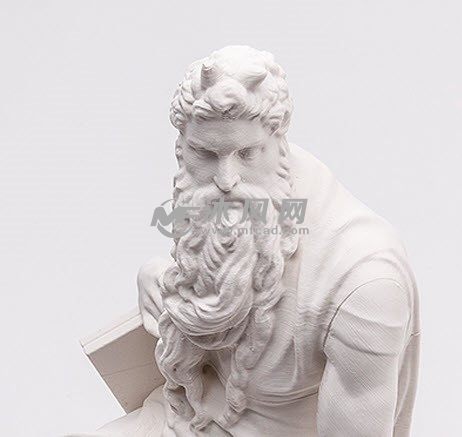 摩西雕像头部细节