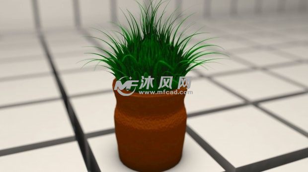植物