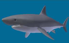 大白鲨