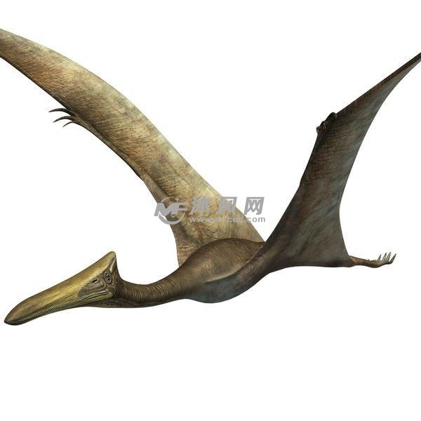 风神翼龙