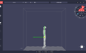 人体模型右视图