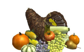 装满食物的篮子