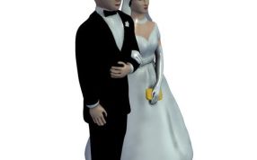 蛋糕上的新郎新娘