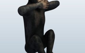 不说恶言的猴子