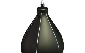 梨球（拳击用品）