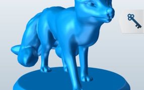 生物狐狸有许多大尾巴