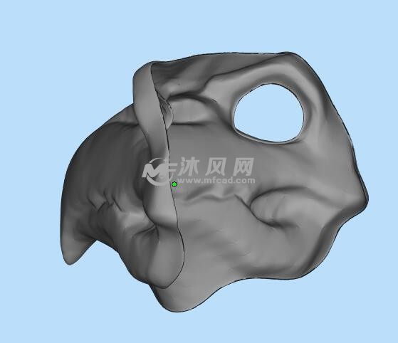 鸟嘴面具三维模型