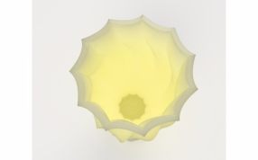 花瓶实物俯视图