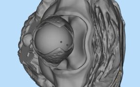 动漫人物三维设计
