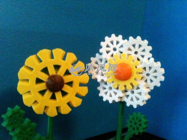 实物花朵