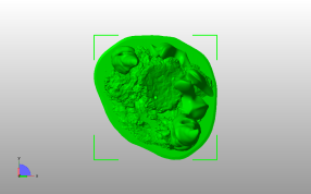 怪物石头模型俯视图