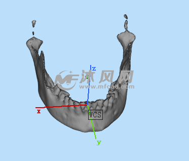 人体骨头三维设计