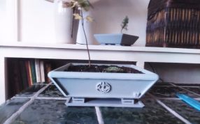 盆景花盆模型侧视图