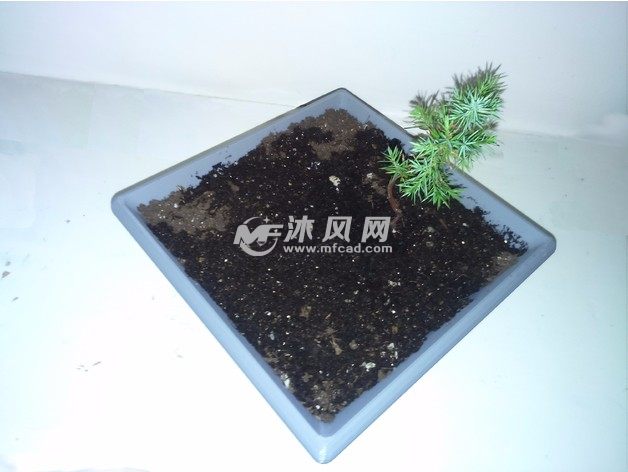 盆景花盆模型俯视图