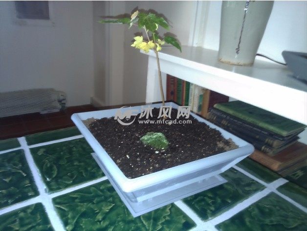 盆景花盆模型斜视图