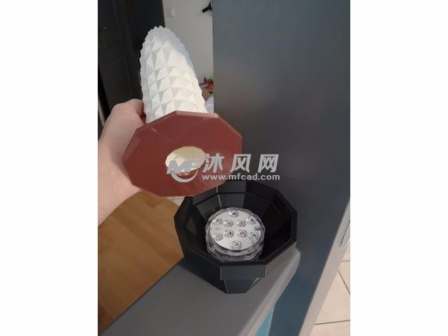 仙人掌灯罩打开