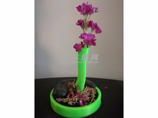 花梗花瓶模型实物图