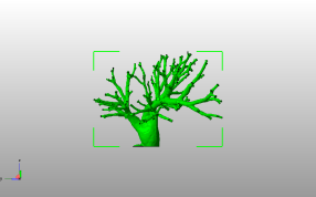 肺动脉模型侧视图