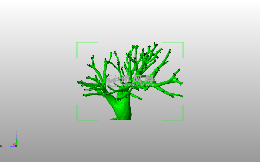 肺动脉模型侧视图