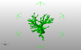 肺动脉模型斜视图