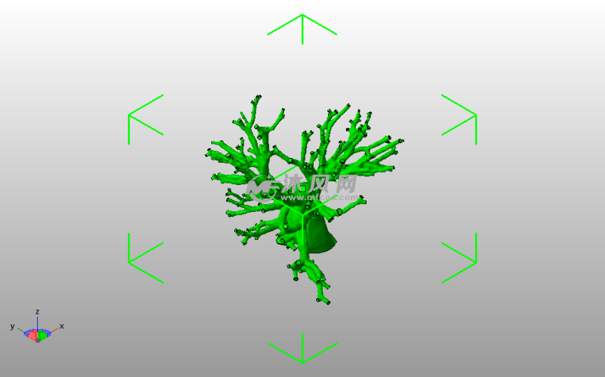 肺动脉模型斜视图