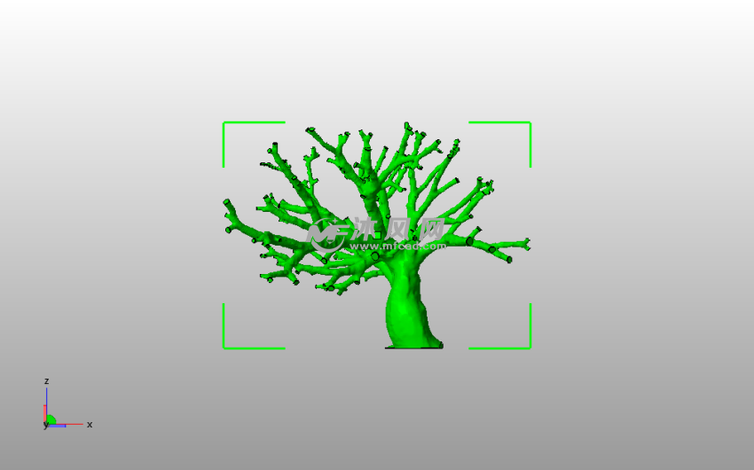 肺动脉模型主视图