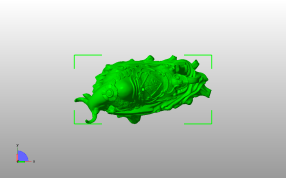 牛气冲天模型俯视图