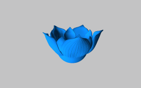 3D打印花瓣模型