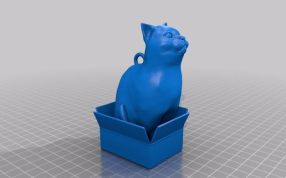 盒子中的小猫斜视图