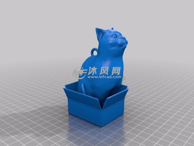 盒子中的小猫斜视图