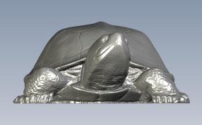 大乌龟模型