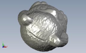 小熊存钱罐俯视图