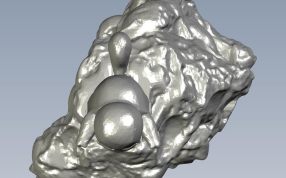 喷水杰尼龟俯视图