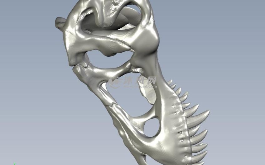 高精恐龙头骨侧视图