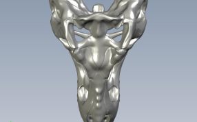 高精恐龙头骨俯视图