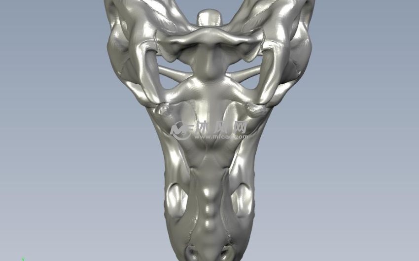 高精恐龙头骨俯视图