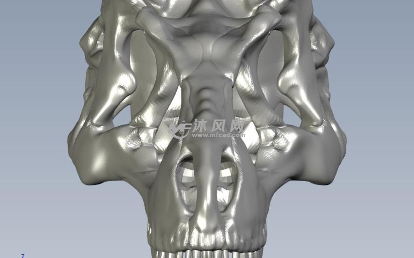 高精恐龙头骨前视图