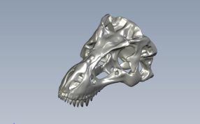 高精恐龙头骨轴测图