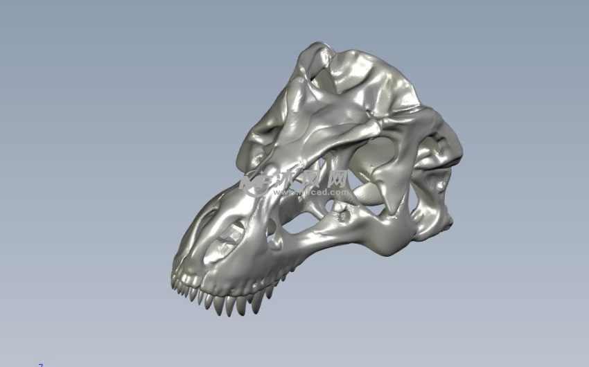 高精恐龙头骨轴测图