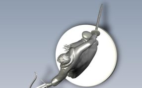 古欧洲猎人俯视图