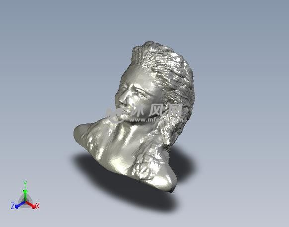 女人头像轴测图