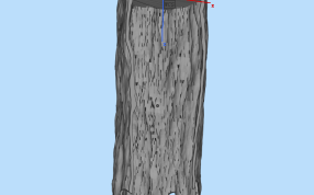 水族馆装饰后视图