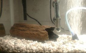 水族馆装饰展示图