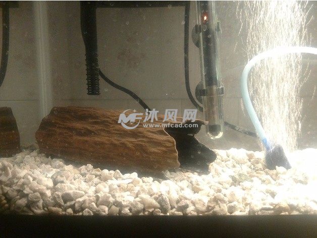 水族馆装饰展示图