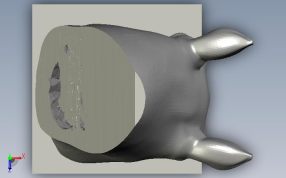 马头模型正视图