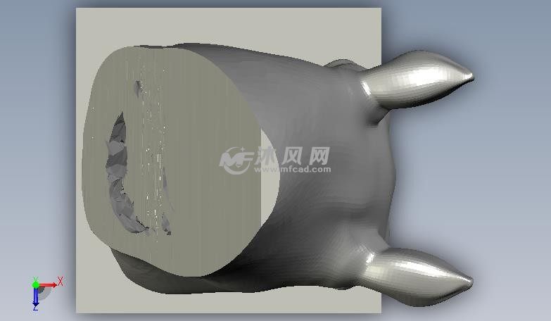 马头模型正视图