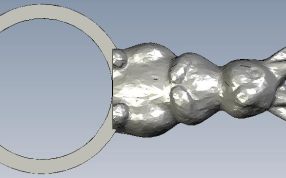 指环兔子正视图