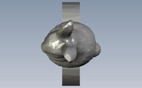 指环兔子俯视图